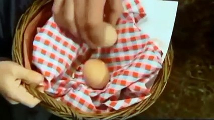 Cbeebies Something Special Out And About Farm 3x1...mp4