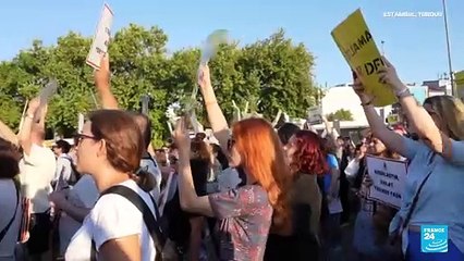 Informe desde Estambul: protestas en Turquía contra la captura de perros callejeros