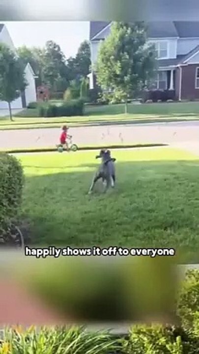 He finally got friends