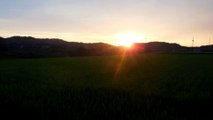 Sunset Over the Rice Fields of Japan