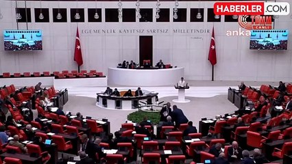 DEM Parti Milletvekili Ceylan Akça Cupolo, Somali tezkeresini eleştirdi