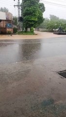 Tranquil Rainfall: Nature’s Symphony in HD"