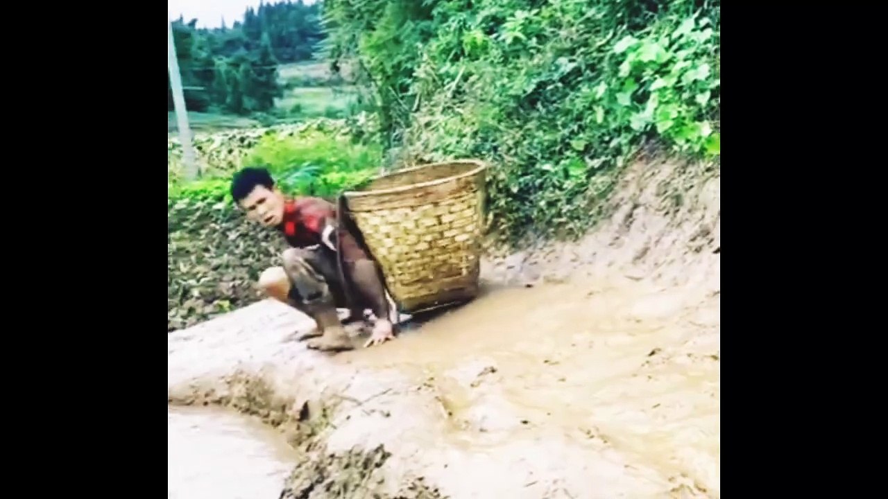 Funny video of 2024 | funny viral video clips
