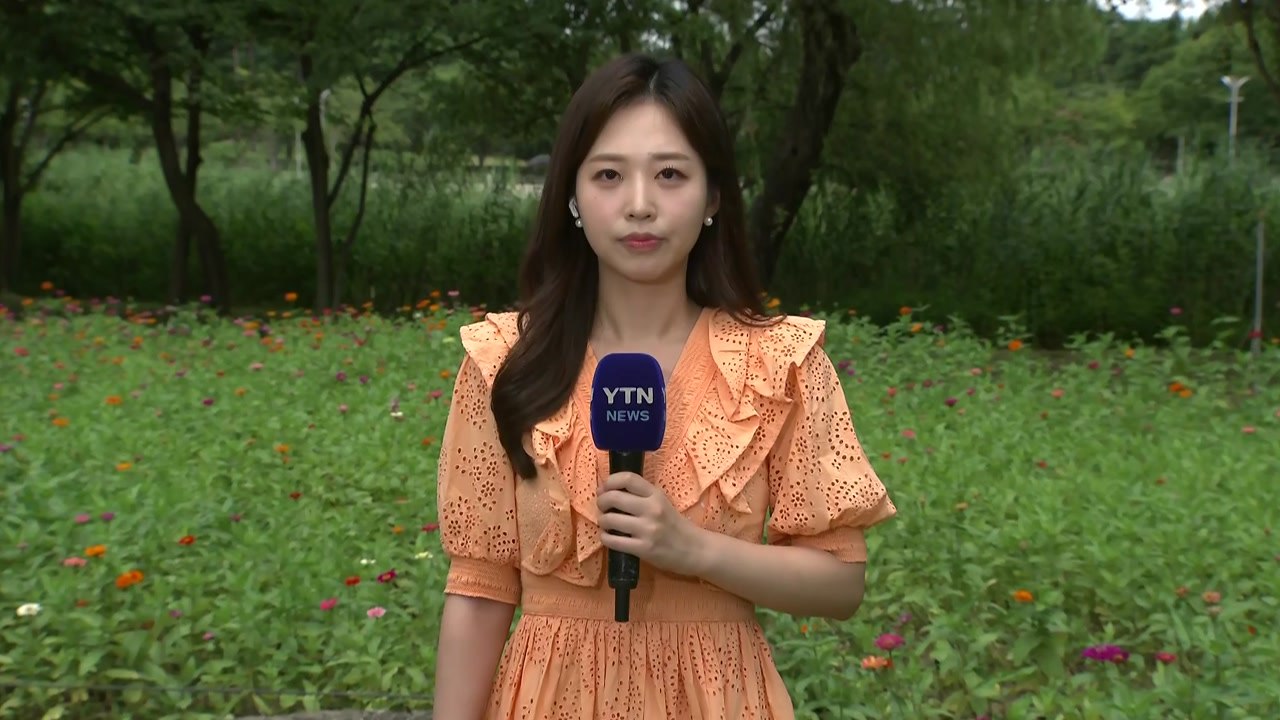 [날씨] 서울 나흘째 '폭염경보'...오후 내륙 곳곳 소나기 / YTN