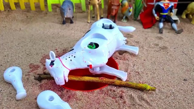 COW AND CAMEL, POTONG SAPI QURBANI IDUL ADHA / SIMOLASIPOTONG UNTA, ‎@toystory7209