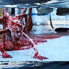 Qazi Studio- _Movie _Netflix _Bestmovie _movie2024 _fyp _Netflix2024 - 1007719137573438(720p)