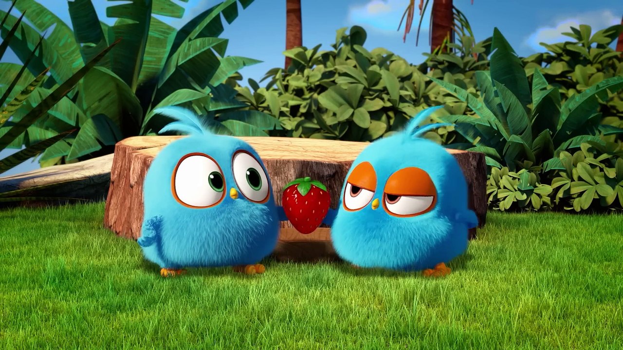 Every Time Angry Birds Got Hungry