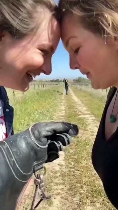 Most Unbelievable Moments Ever Caught On Camera !