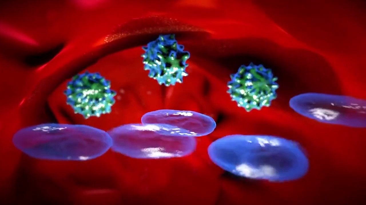How Vaccine is Made