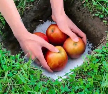 Smart food preserving hacks to save your harvest!