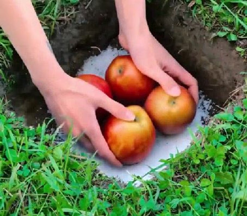 Smart food preserving hacks to save your harvest!