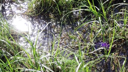 Tragedia w gminie Konarzyny. Zalane łąki