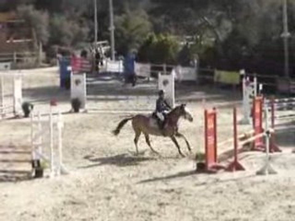club poney élite nimes le centaure