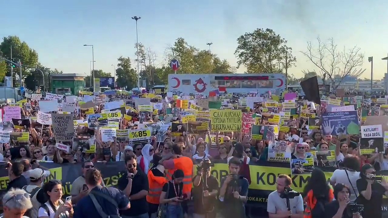 Hayvan hakları savunucuları Kadıköy'de bir araya geldi