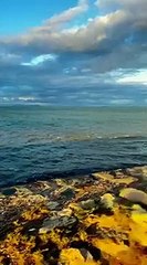 Mianwali Chashma Barrage Very Beautiful Lake Views __ Latest Video