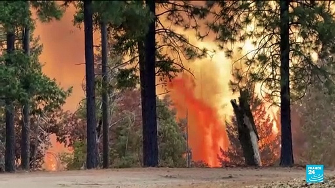 Californie : le mégafeu en cours devient l'un des plus gros jamais enregistré dans cet Etat