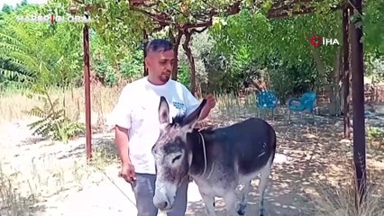 Vatandaşlardan şiddet görmüştü! Artık yeni ismi gibi bir yuvada yaşayacak