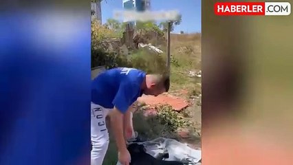 Korkunç saldırı! Köpeklere mama dağıtırken burnundan ısırıldı