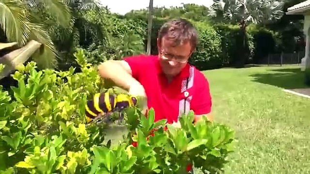 Diana play with Dad - Fun storybook for kids