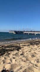 LA PLUS CENTRALE plage d’Arcachon
