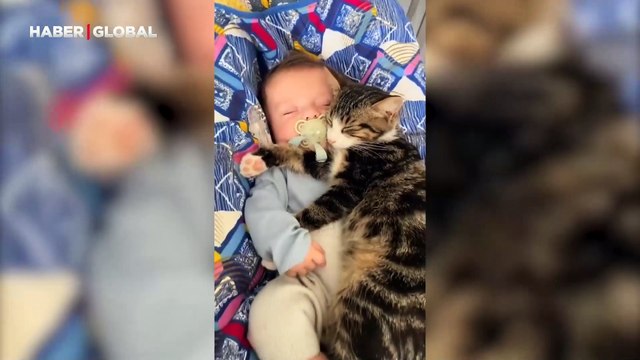 Kendi evladı gibi gördüğü bebeği bir an bile yalnız bırakmadı: Annelik ruhuyla dolup taşan kedi gönülleri fethetti