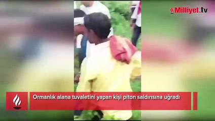 Tuvaletini yaparken, pitona yakalandı!