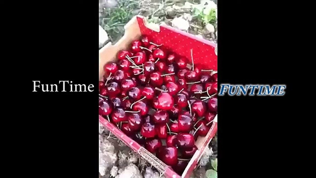 Funny Tik Tok / Super funny collection! Funny videos of mother and daughter! Original, funny, big twists, creative, and imaginative... I lose if you guess the ending Part 17 Fun Time