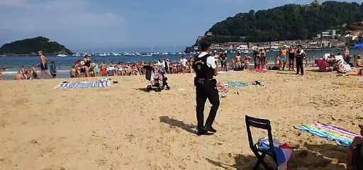 ¡Alerta! Avispero en La Concha 🐝 - Cómo actuar y prevenir peligro