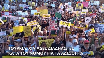 Κωνσταντινούπολη: Χιλάδες στους δρόμους κατά του νομοσχεδίου για τα αδέσποτα