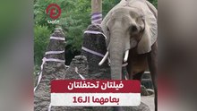 فيلتان تحتفلتان بعامهما الـ 16