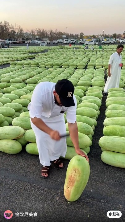 Fresh watermelon harvesting