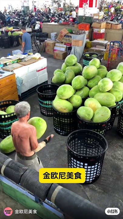 Fresh watermelon harvesting in China