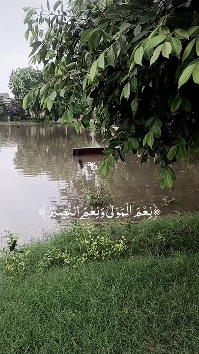 Weather 28.7.24
