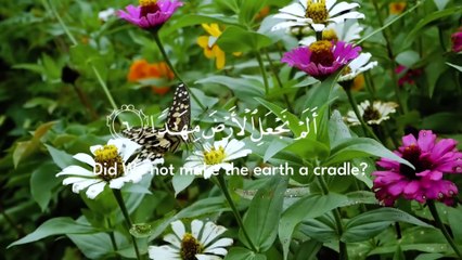 Surah An-Naba - Abdul Rahman Mossad