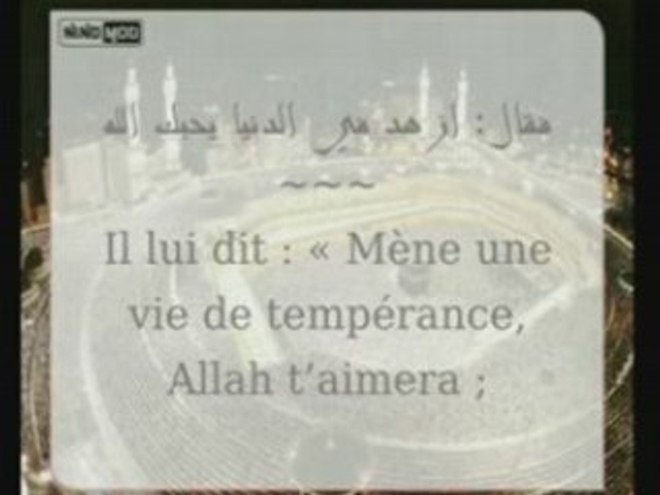 الحديث 31 "الزهد الحقيقي