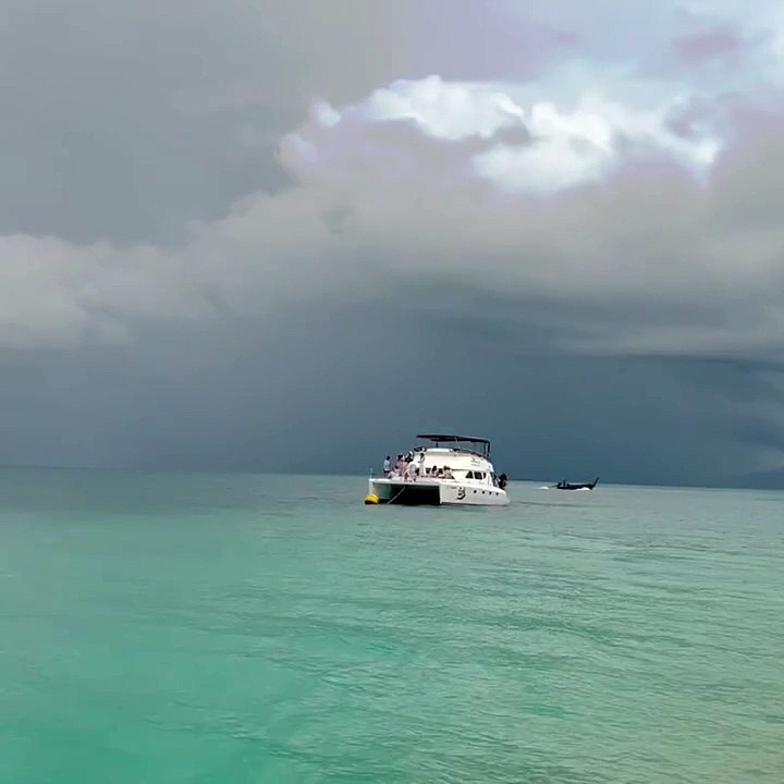 VID_20230925_094953_719