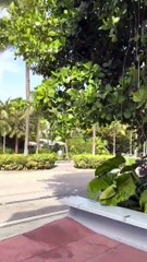 VLOG 01 _ WEB3 _ Yeh kia huwa Miami _(720P_HD)