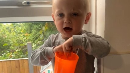 Adorable boy has a hard time accepting that his beloved pet fish is no more