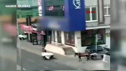 At arabasıyla hırsızlık kamerada