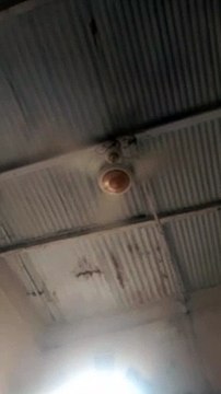 Hamster Kombat Big update Hamster Kombat New game play 4 key unlock Hamster Kombat News today