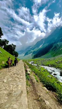 Nature view shorts travel #travel #nature #travelphotography #photography #love #photooftheday