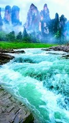 River walking #naturalbeauty933 #beauty #beauty #greengreen #garden #natural #water #river