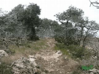 Cyprus lovely walks and hikes