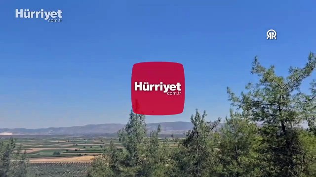 Hatay'ın Hassa ilçesinde orman yangını