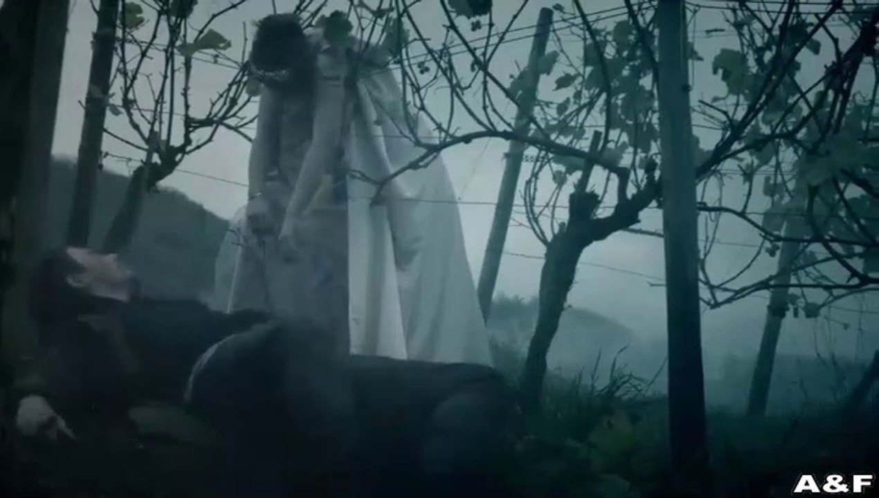 Weinberg -06- Erkenntnis