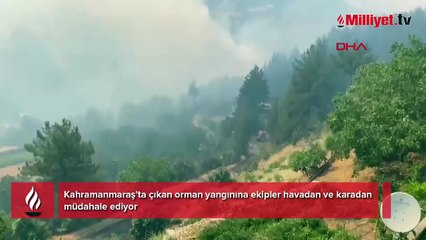Kahramanmaraş'ta orman yangını! Müdahale sürüyor