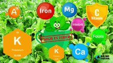 Why You Should Eat Spinach Every Day