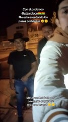 Pájaro loco enseña a Fénix a bailar tinku