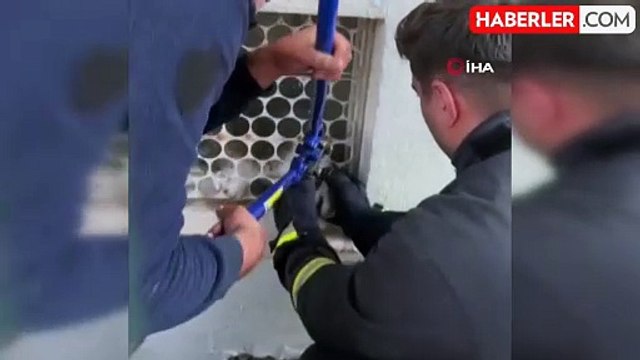 Korkuluğa sıkışan kedinin imdadına itfaiye yetişti