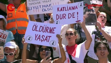 Hayvanseverler Anıtpark'ta eylemde Bu yasa tasarısını reddetmeli, onların refahını sağlayacak düzenlemeler için hep birlikte çalışmalıyız